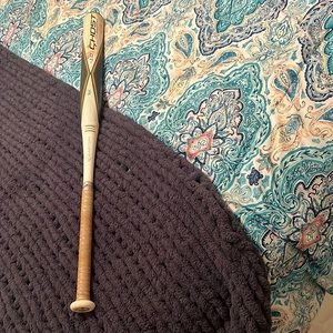 2020 EASTON GHOST SOFTBALL BAT